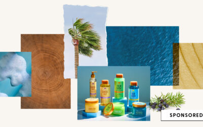 Home 9 Encuentre su aroma de firma con la nueva ‘colección de elementos’ de Tree Hut