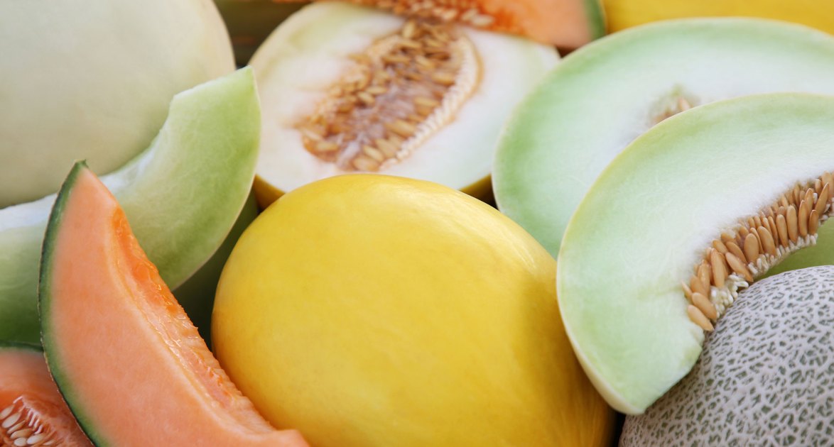 24 tipos de melones de todo el mundo