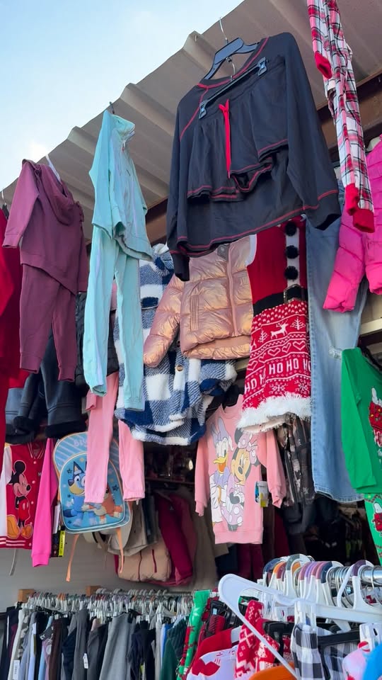 La Gran Pulga de Hidalgo